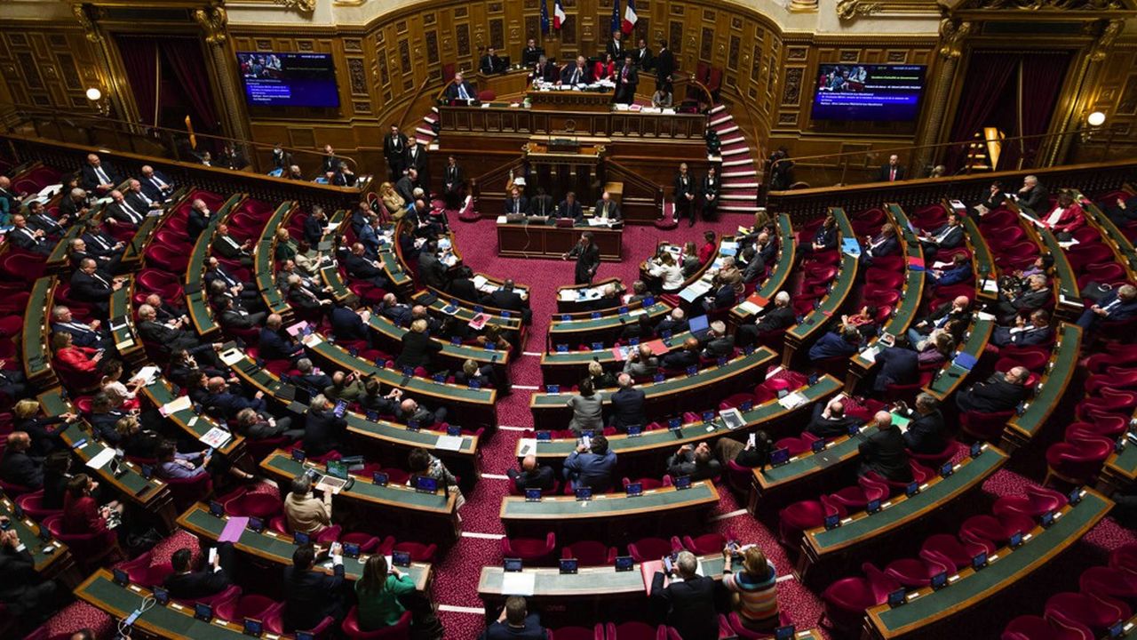 Le Sénat vote deux articles clés du projet de loi plein emploi