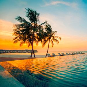 PerfectStay coconut-sunset.jpg
