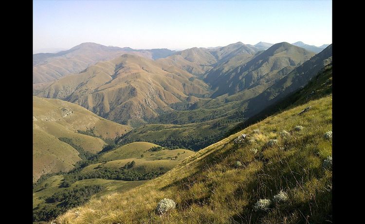 Les Montagnes de Barberton Makhonjwa, Afrique du Sud