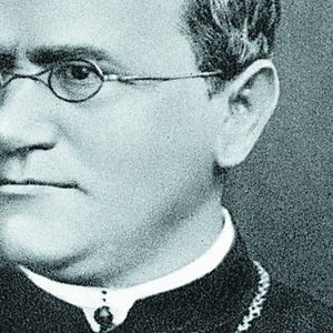 Gregor Mendel a découvert les lois de l'hérédité en cultivant des petits pois dans un monastère.