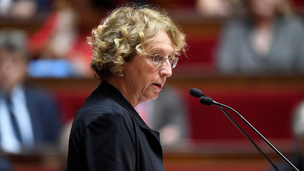 La ministre du Travail, Muriel Pénicaud, à l'Assemblée nationale, lors du débat sur la loi d'habilitation à réformer par ordonnances le Code du travail en juillet 2017.