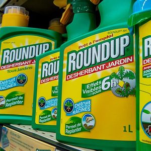 Le « Roundup », la marque de déserherbant emblématique de Monsanto à base de glyphosate, est de plus en plus sur la sellette.