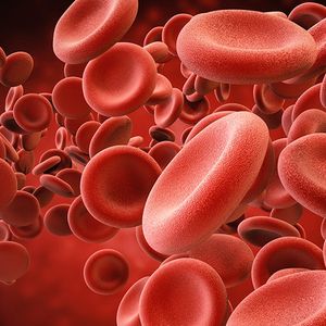 Les auteurs affirment avoir découvert comment ôter certaines propriétés du sang, afin d'en faire un sang universel