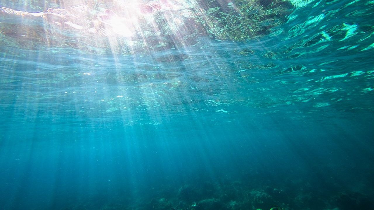 Les océans ne sont pas assez protégés d'une exploitation commerciale non régulée.