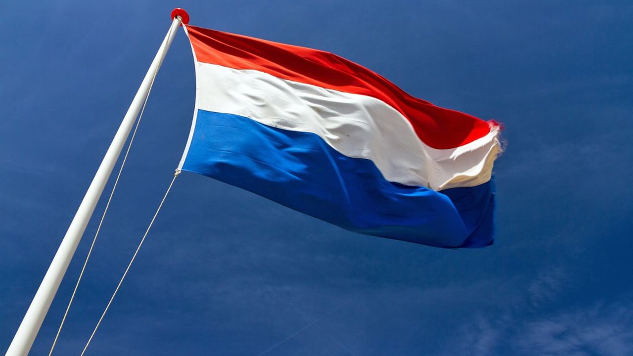 Les Pays-Bas lancent un service civique, sur la base du volontariat