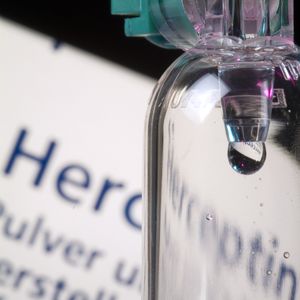 L'Herceptine, qui permet de traiter les cancers du sein dits « HER2 positifs », soit 20 % des cas, est un produit essentiel pour Roche avec des ventes mondiales de plus de 6 milliards d'euros en 2017.