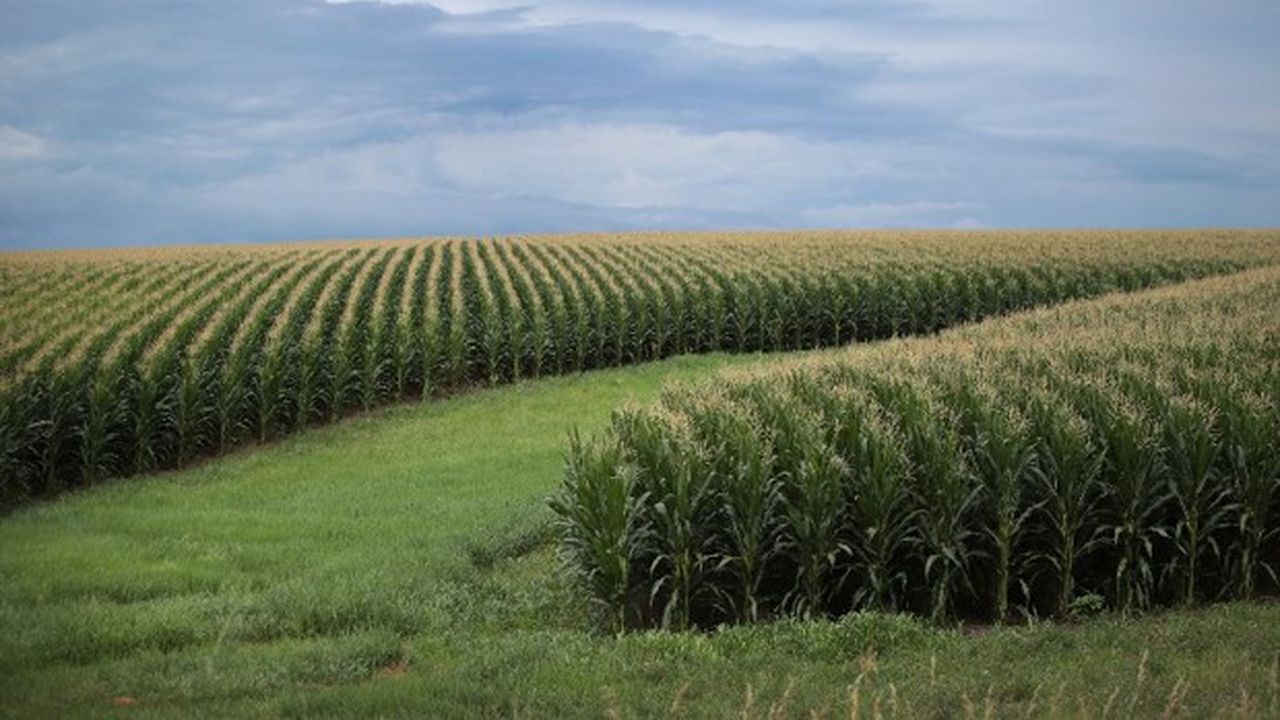 L'Iowa est le grenier des Etats-Unis : 20 % du maïs américain et 12 % du soja poussent sur ces terres réputées les plus fertiles du monde.