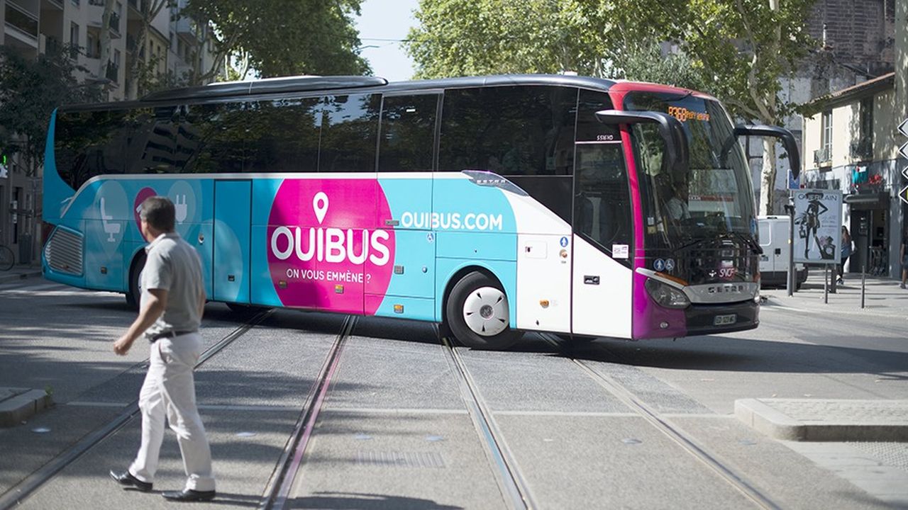 Lancé il y a trois ans, Ouibus s'affirme leader français de l'autocar longue distance, avec plus de 12 millions de voyageurs transportés.