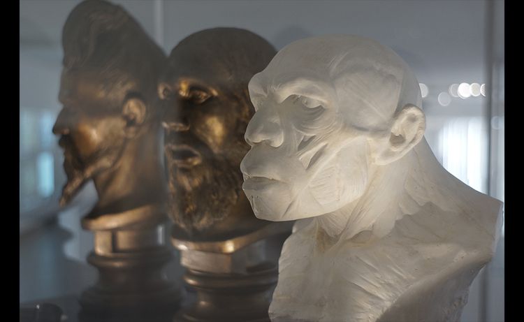 Néandertal au musée de l’Homme