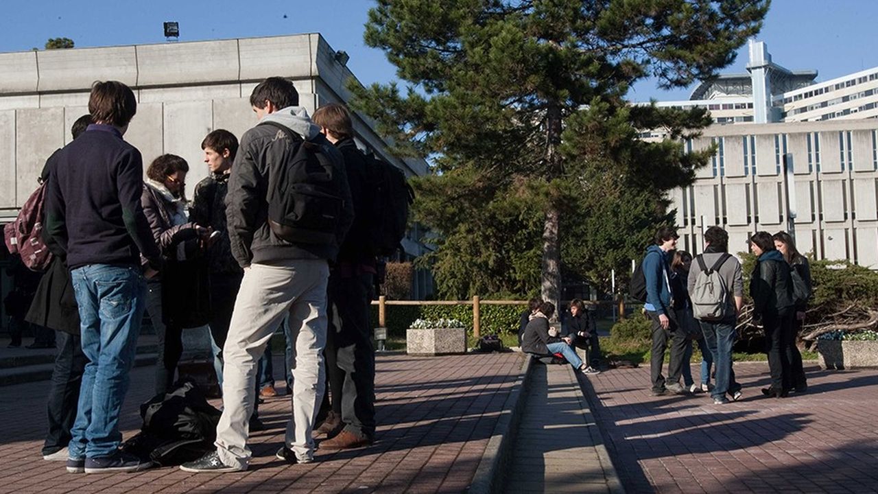 Des étudiants sur le campus de l'université de Bordeaux (ex-Bordeaux-II).