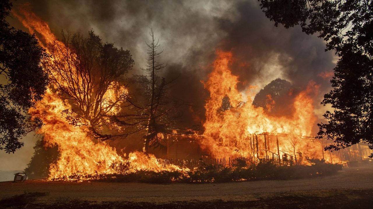 Les incendies ravagent la Californie depuis plusieurs jours.