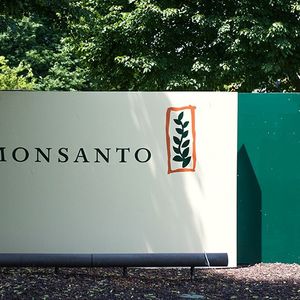 Monsanto a été condamné à payer près de 290 millions de dollars de dommages à Dewayne Johnson, ce jardinier américain atteint d'un cancer en phase terminale.