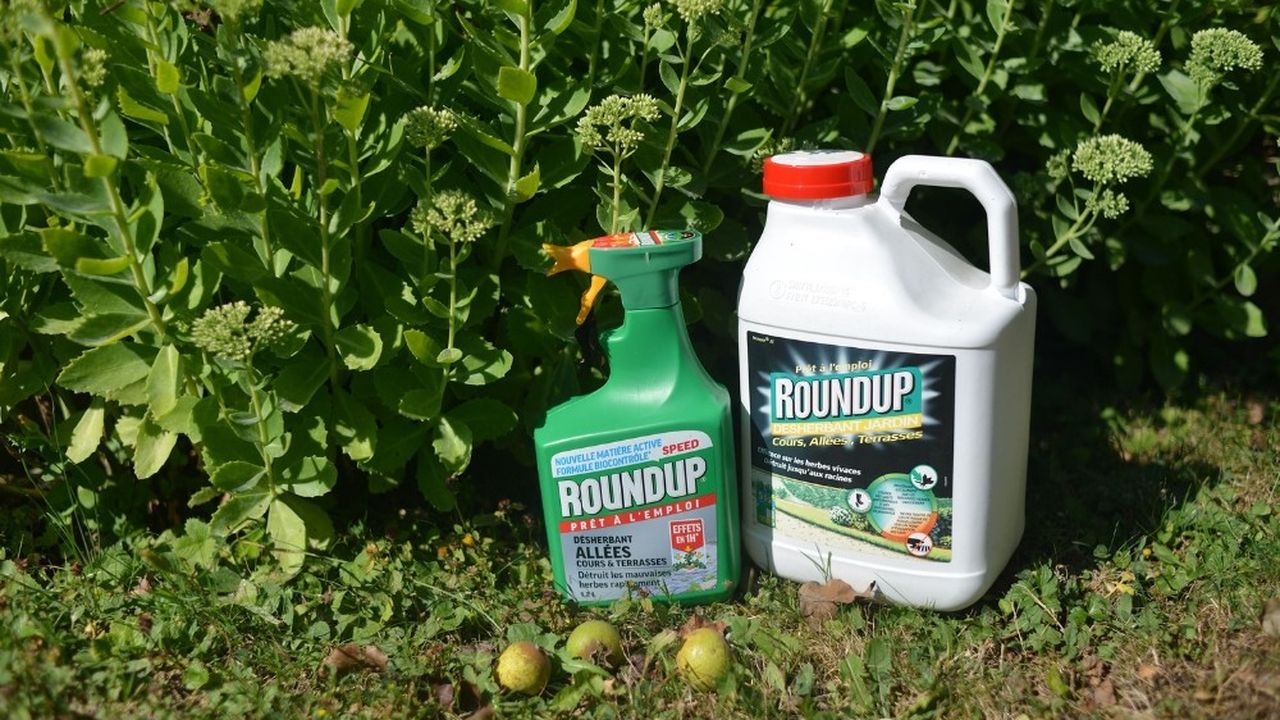 Un jury de San Francisco avait condamné en août Monsanto, intégré depuis au sein de Bayer, à verser quelque 290 millions de dollars à un jardinier atteint d'un cancer.
