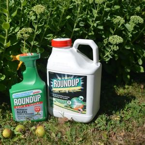 Monsanto souhaitait un nouveau procès, estimant que le jury précédent n'avait aucun élément pour conclure que son herbicide, le Roundup, était la cause du cancer du jardinier d'une école.