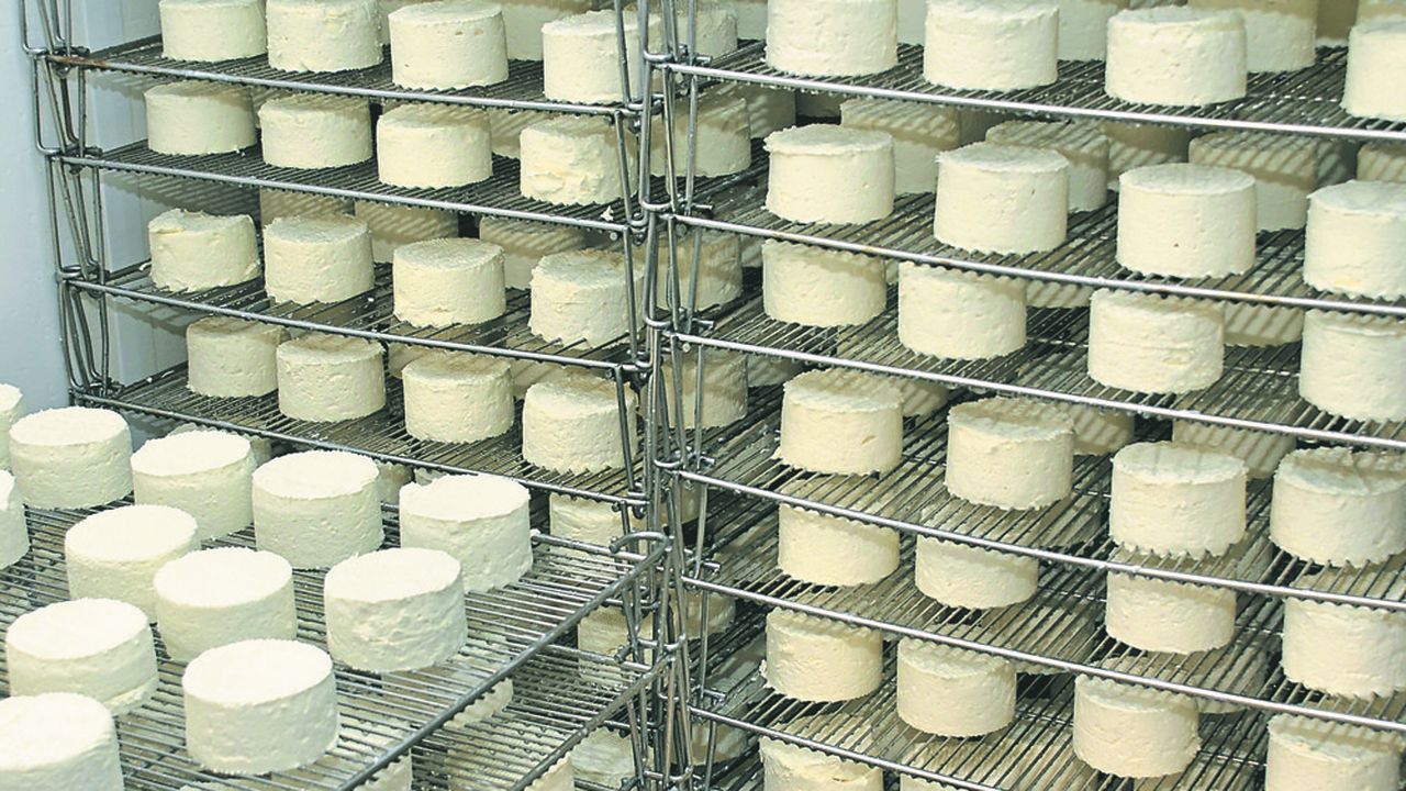 La production est constituée, à 90 %, de fromages enrichis en matière grasse.