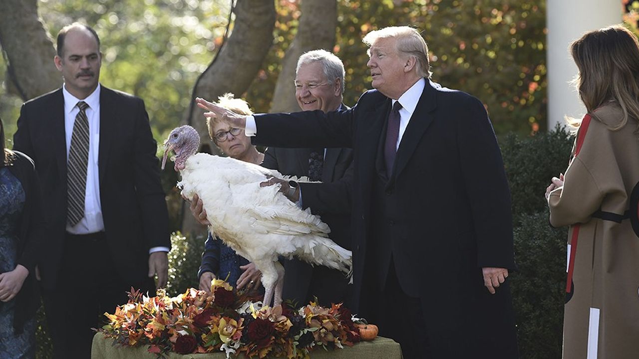 Sous le regard de son épouse Melania, Donald Trump gracie la dinde « Peas » élevée dans le Dakota du Sud, comme il est de tradition pour le Thanksgiving.
