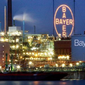 Bayer a annoncé jeudi qu'il allait supprimer 12.000 emplois dans le monde d'ici fin 2021, dont « une partie importante » concernera l'Allemagne.