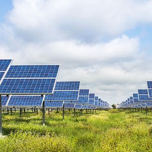 Les nouveaux projets solaires n'auraient plus besoin de subvention à compter de 2030, estime l'Ademe. Idem pour l'éolien terrestre, à partir de 2035.