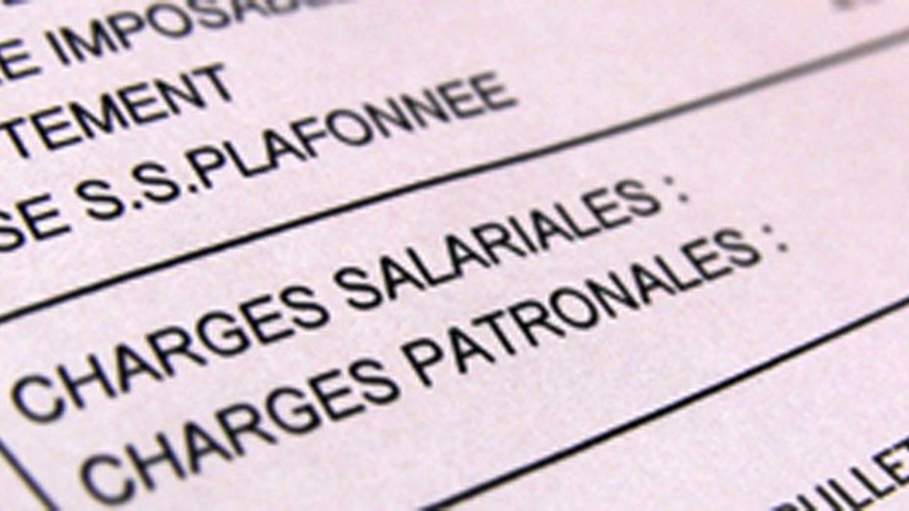 Allégements de charges : un millefeuille critiqué | Les Echos