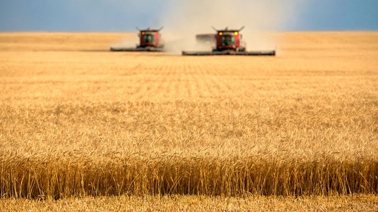 Agriculture  la France a dix ans pour renouer avec la compétitivité