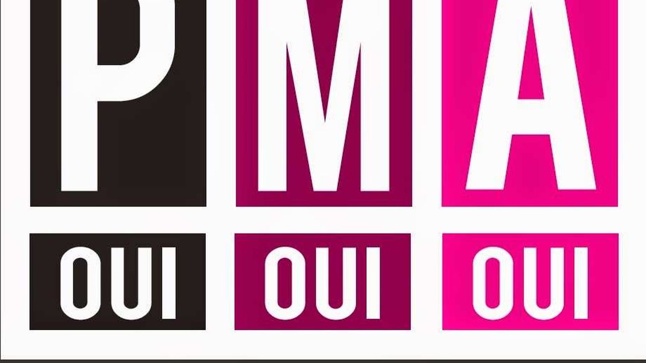 Des Elus Lancent Une Petition Pour L Ouverture De La Pma A Toutes Les Femmes Les Echos