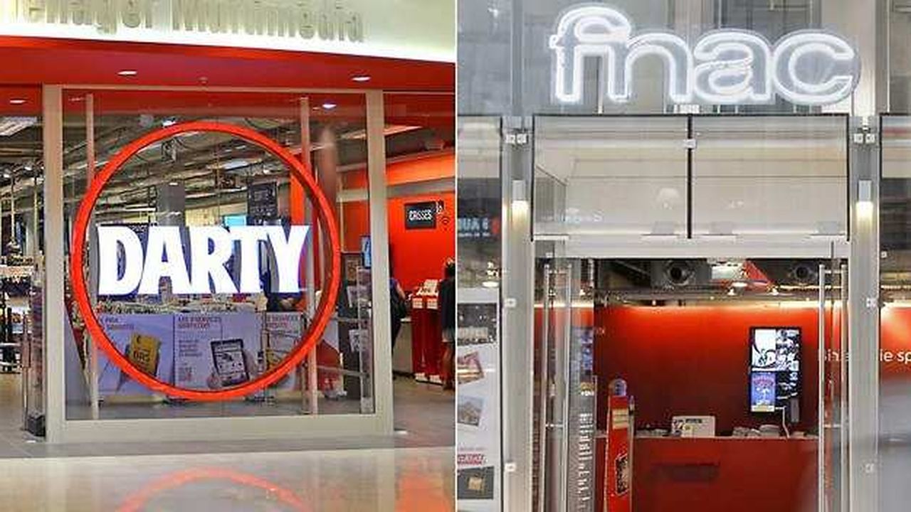 La Fnac A Amélioré Son Offre Sur Darty Grâce à La Hausse De Son Cours ...