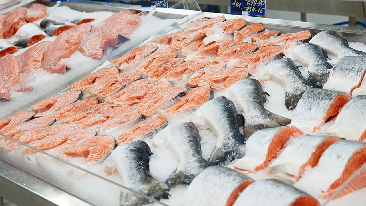 L'histoire de l'aquaculture du saumon est en accéléré celle de l'agriculture depuis les chasseurs-cueilleurs jusqu'à aujourd'hui.