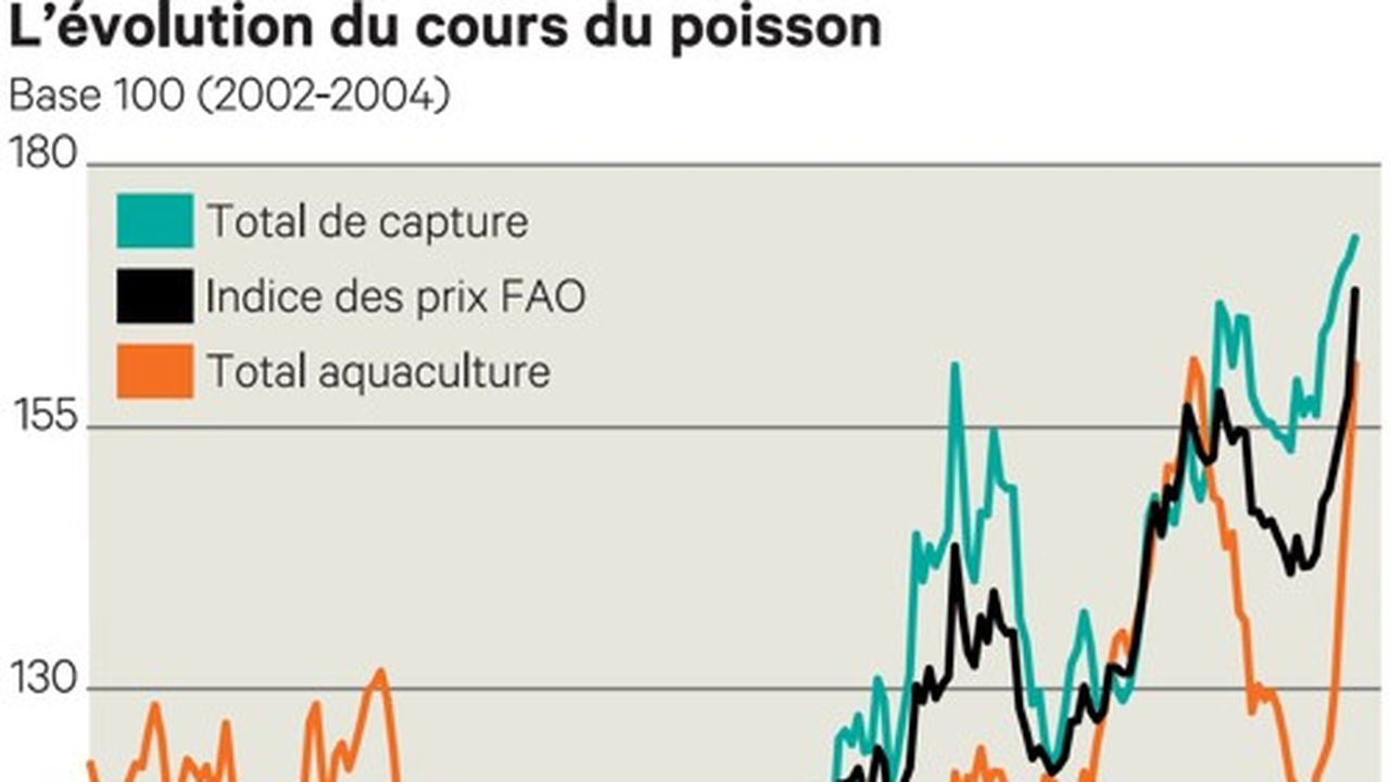 Les prix du poisson atteignent des sommets | Les Echos