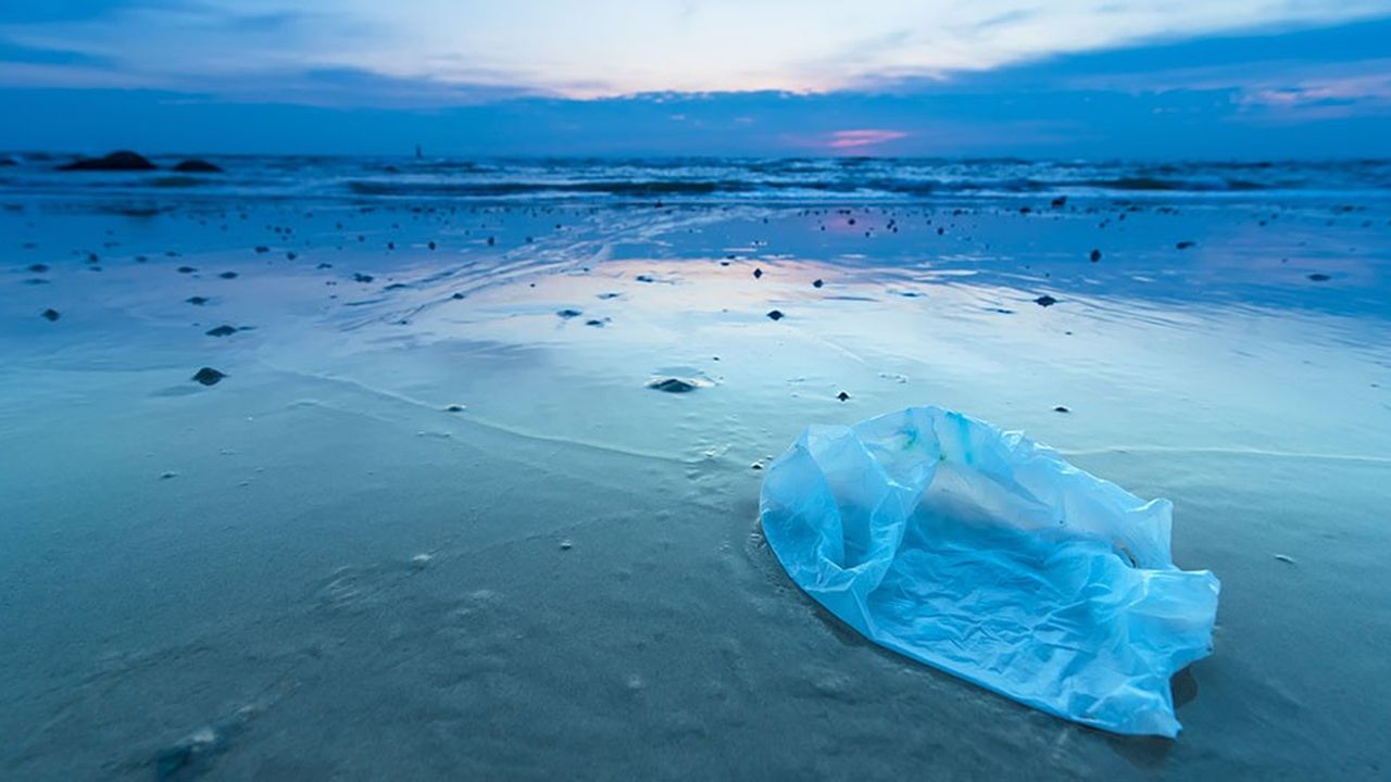 Le Bangladesh a été le premier pays à interdire dès 2002 les sacs plastique à la suite d'inondations catastrophiques provoquées par des sacs plastique ayant bouché les systèmes de drainage.