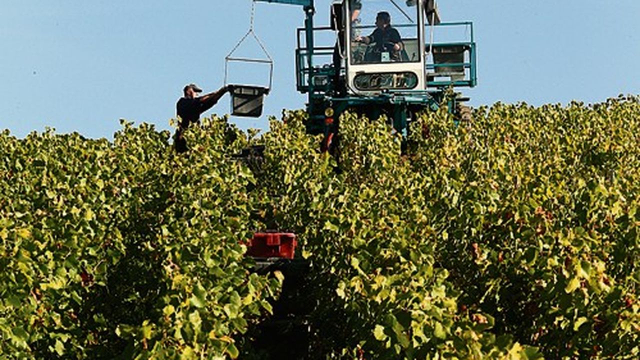 Le Champagne Marque Des Points Hors D'Europe | Les Echos