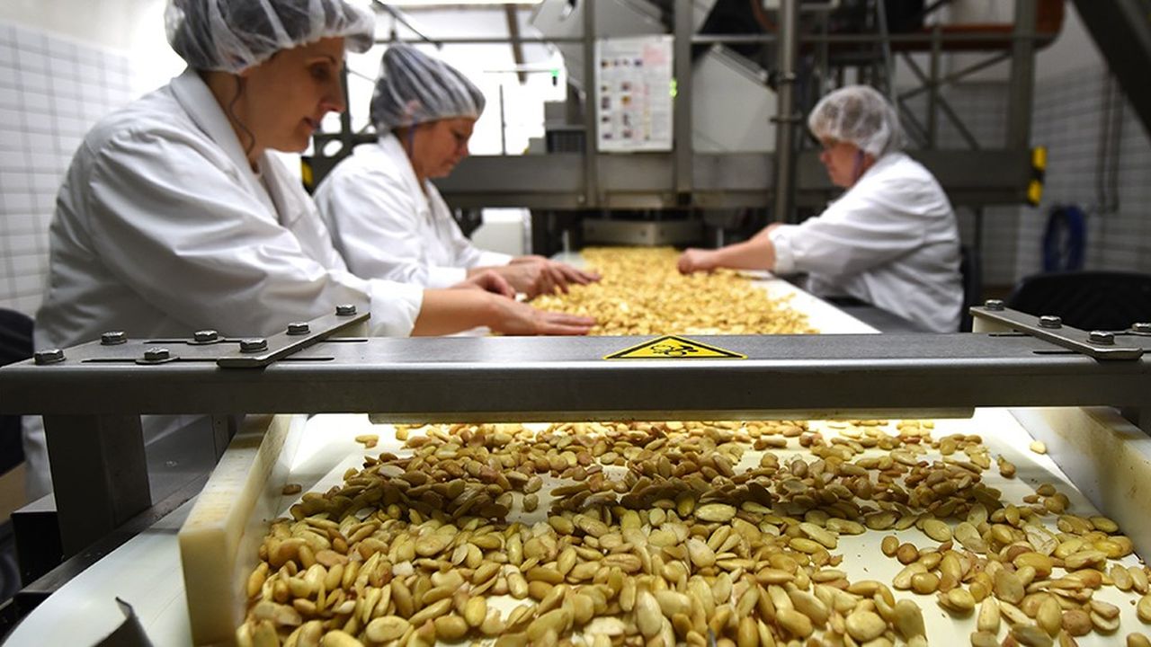 Des employés procèdent à des tests de qualité dans l'usine de pâtes d'amande de l'entreprise allemande Niederegger à Lubeck en Allemagne.