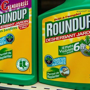 Depuis le début de l'année 2019, les désherbants à base de glyphosate, comme le Roundup, sont interdits aux particuliers.