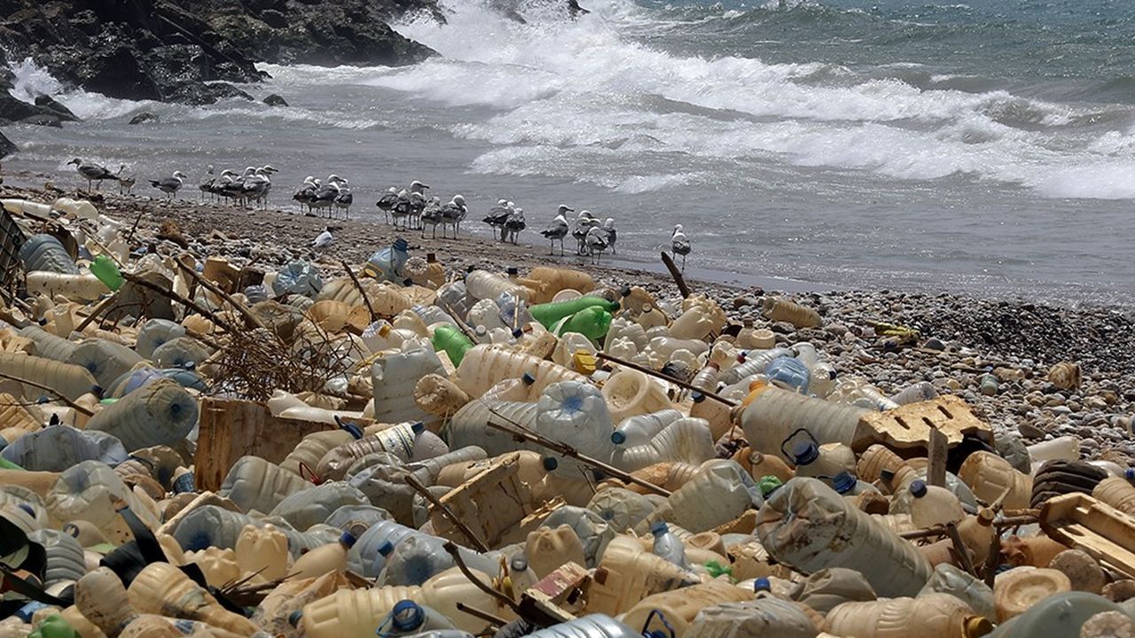 Plus de 90 % des déchets plastiques retrouvés en mer sont charriés par les dix plus grands fleuves du monde, huit en Asie et deux en Afrique.
