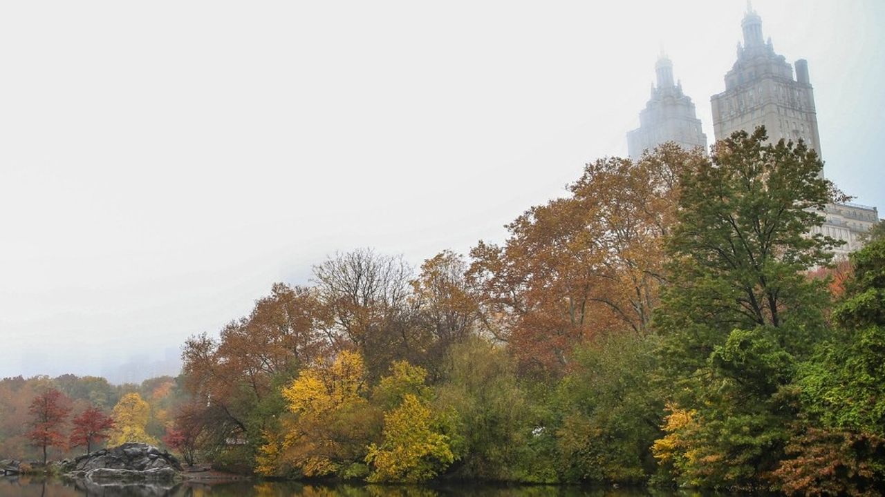 Central Park est l'un des sites de New York les plus fréquentés par les touristes