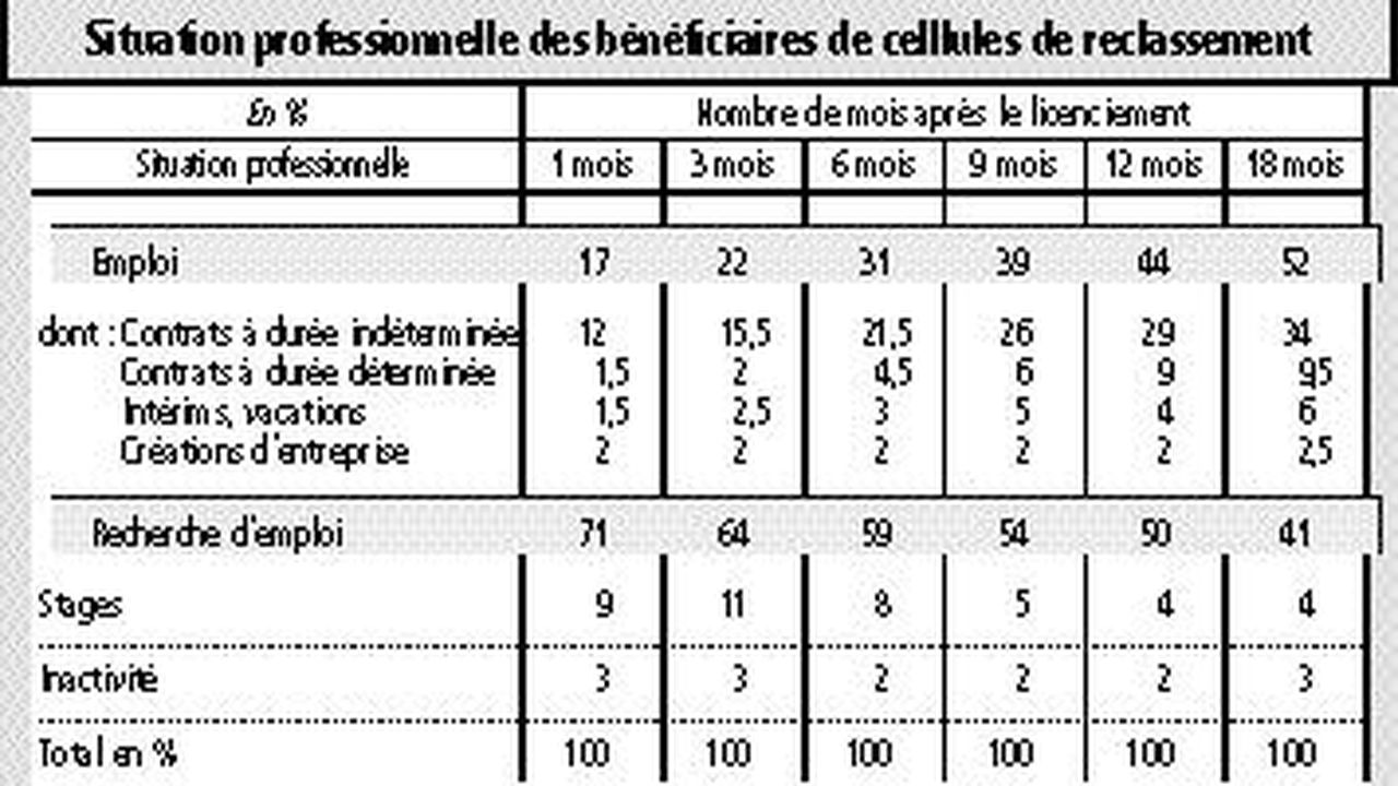 Cellules De Reclassement: Un Bilan Mitigé Selon Le Crédoc | Les Echos