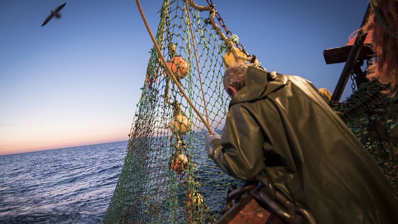 Les pêcheurs continentaux ont bien plus à perdre que leurs homologues d'outre-Manche : les eaux britanniques sont de loin les plus poissonneuses et les flottes françaises, belges ou néerlandaises y attrapent de 35 à 50 % de leurs prises.