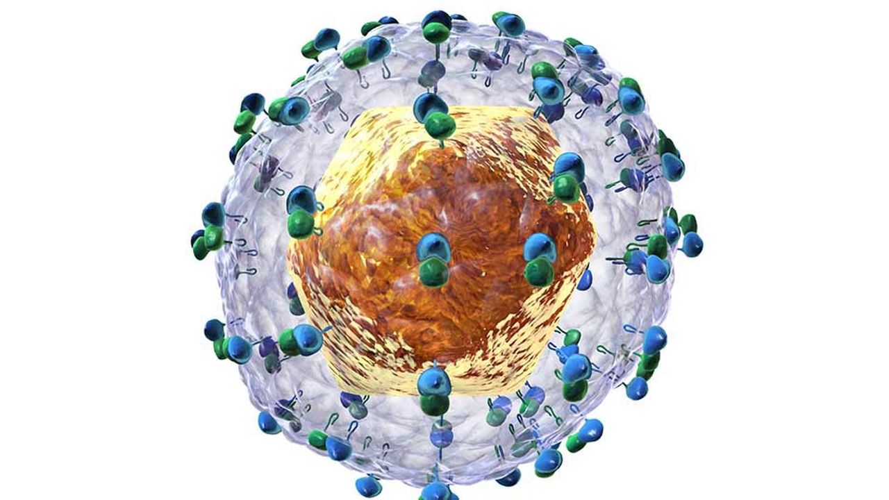 Les antiviraux à action directe permettent de guérir de l'hépatite C dans plus de neuf cas sur 10
