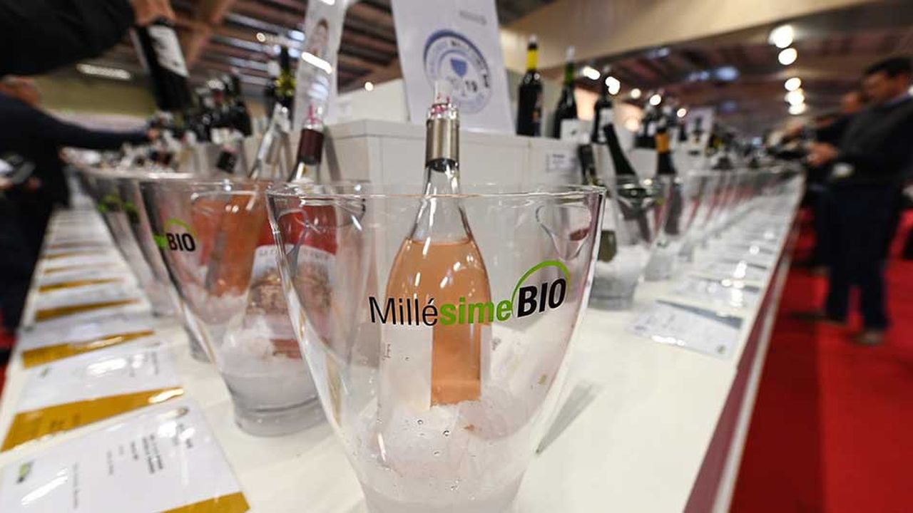 Le Salon Millesime Bio 2019, à Montpellier. (Photo by PASCAL GUYOT/AFP)