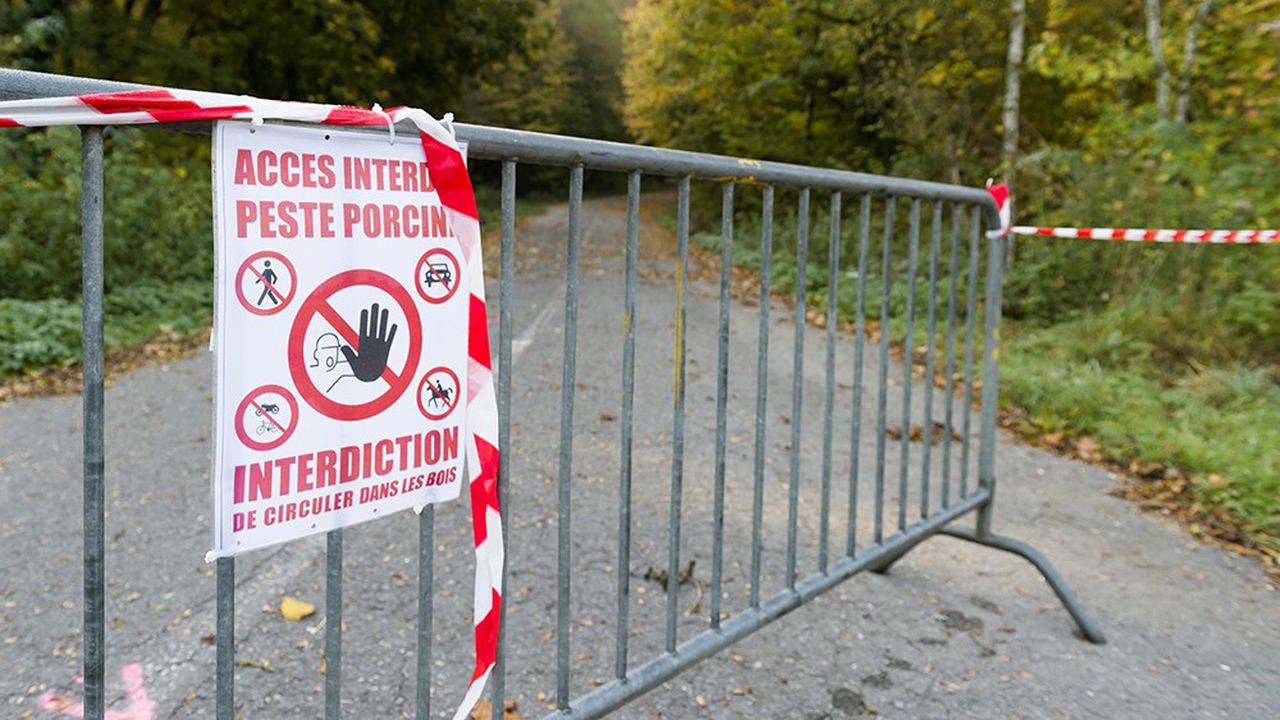 Mesures de précaution visant à éviter la contagion à la frontière entre la France et la Belgique.