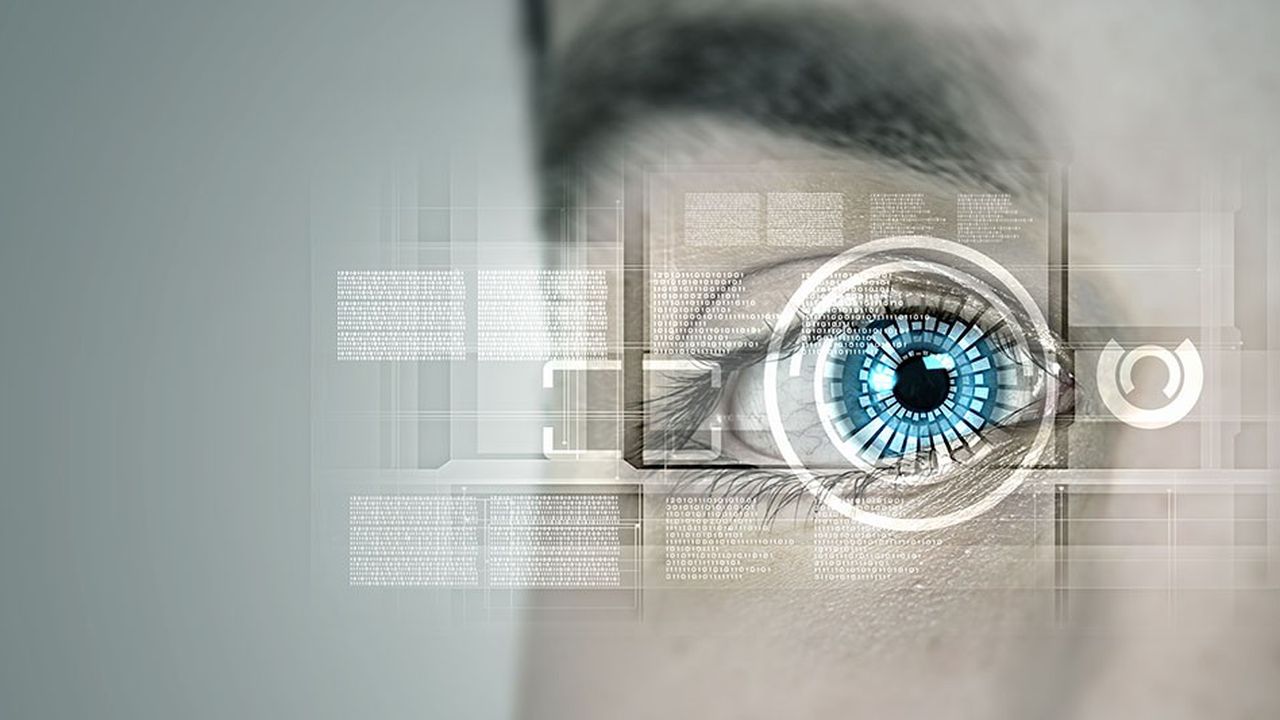 La reconnaissance visuelle et la biométrique sont des technologies de l'intelligence artificielle sur lesquelles les organismes publics et privés concentrent de plus en plus leurs recherches.