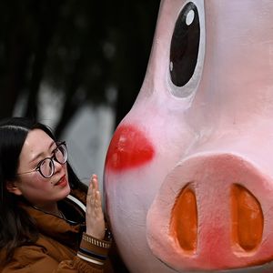 La nouvelle année chinoise sera sous le signe du « cochon de terre ».