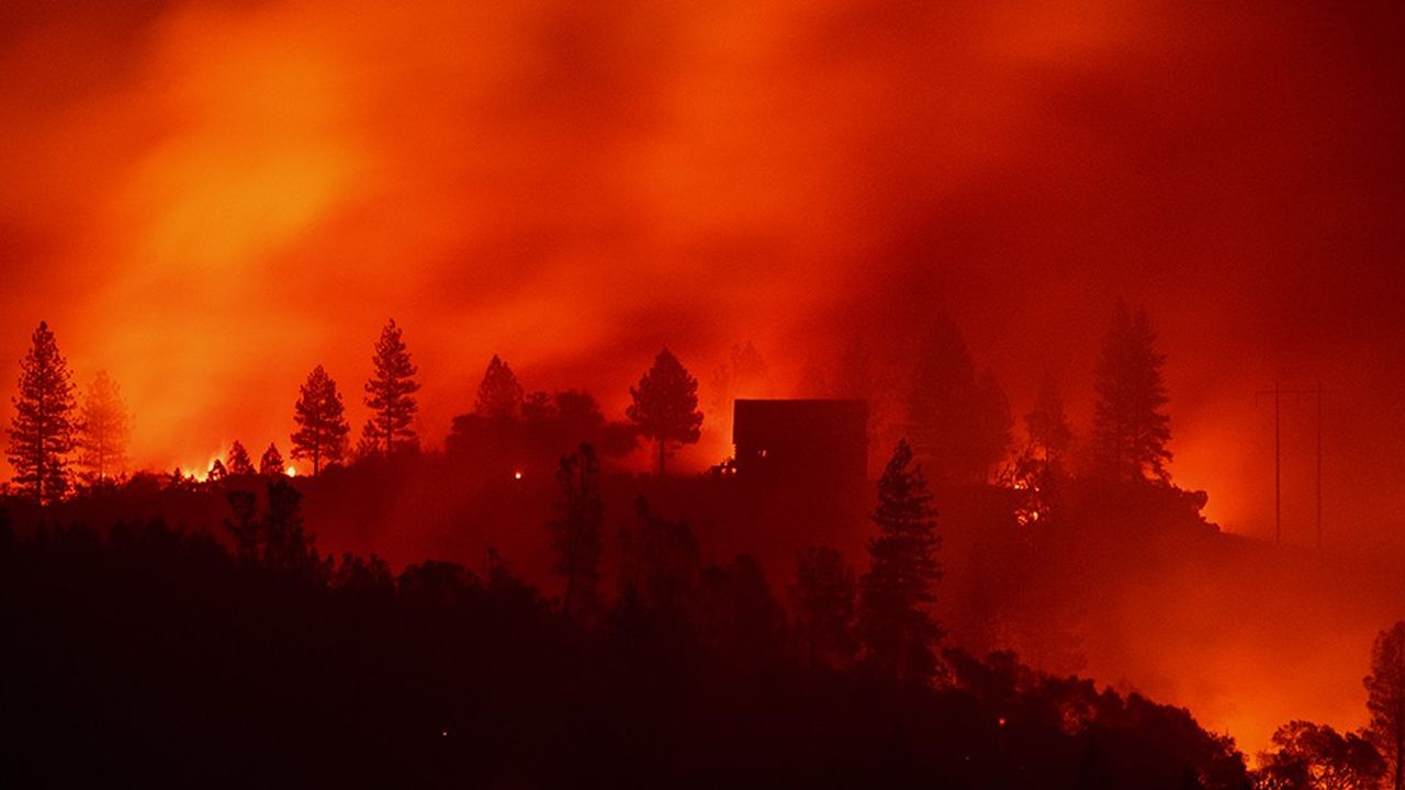 Les incendies qui ont ravagé la Californie en novembre dernier ont coûté environ 430 millions d'euros à Munich Ré.