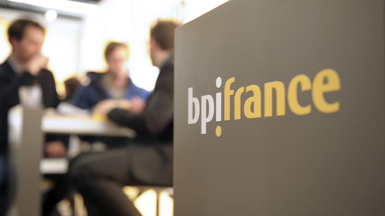 De longue date active dans la garantie de crédits aux TPE, bpifrance souhaite depuis quelques années s'installer dans l'octroi de prêts pour les plus petites sociétés.