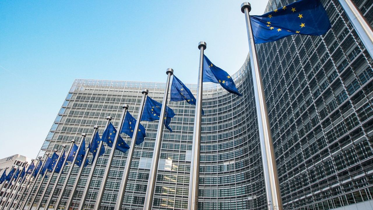L'initiative de la Commission européenne fait grincer des dents certains Etats membres, qui doivent encore donner leur feu vert au Conseil.
