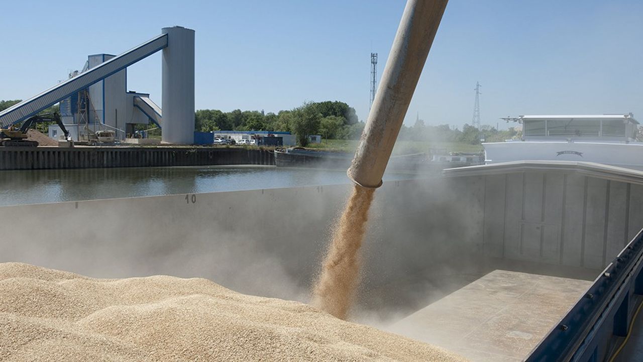 La très bonne campagne céréalière de 2017 a porté le trafic fluvial de la filière agroalimentaire l'an dernier.