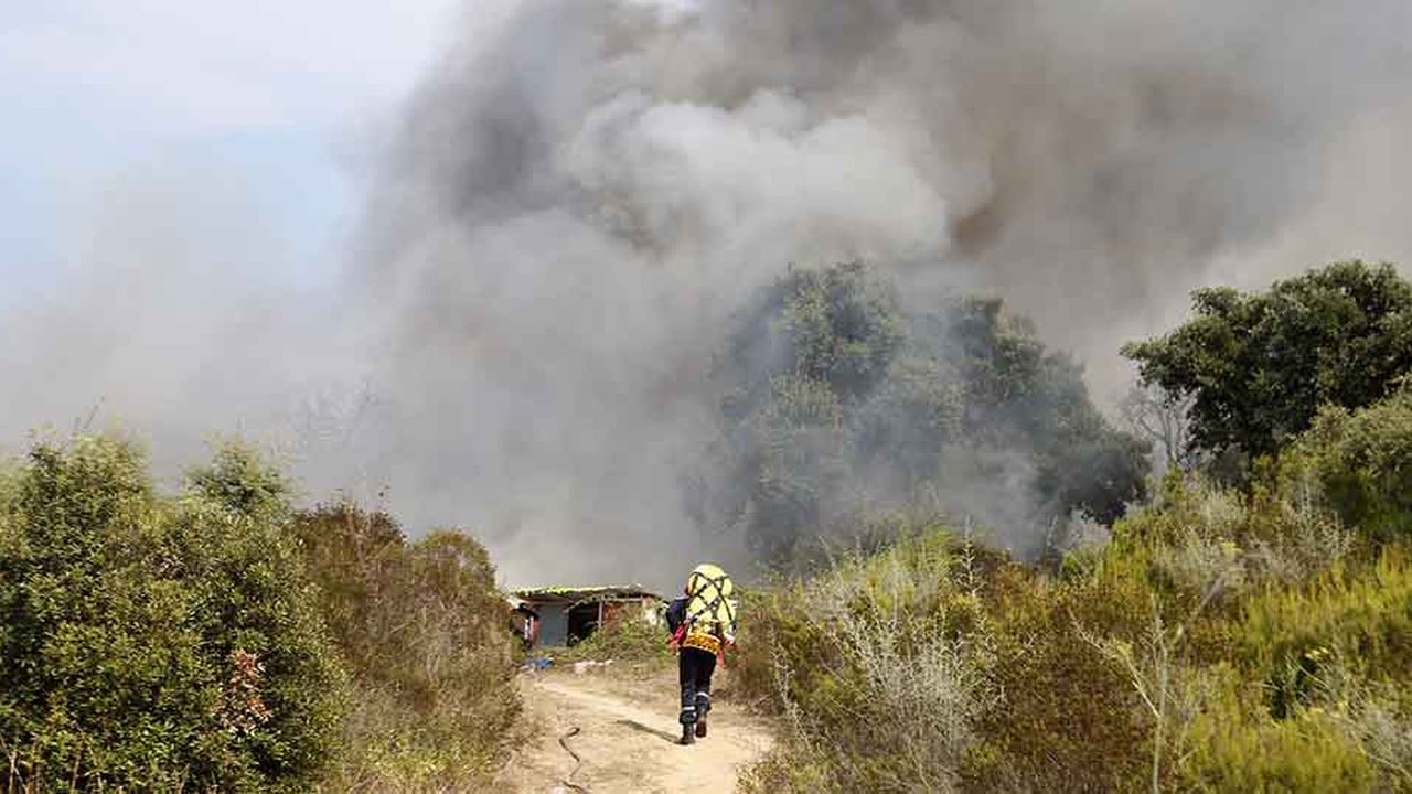 Selon la préfecture, l'origine de la plupart des incendies serait des débroussaillements par le feu