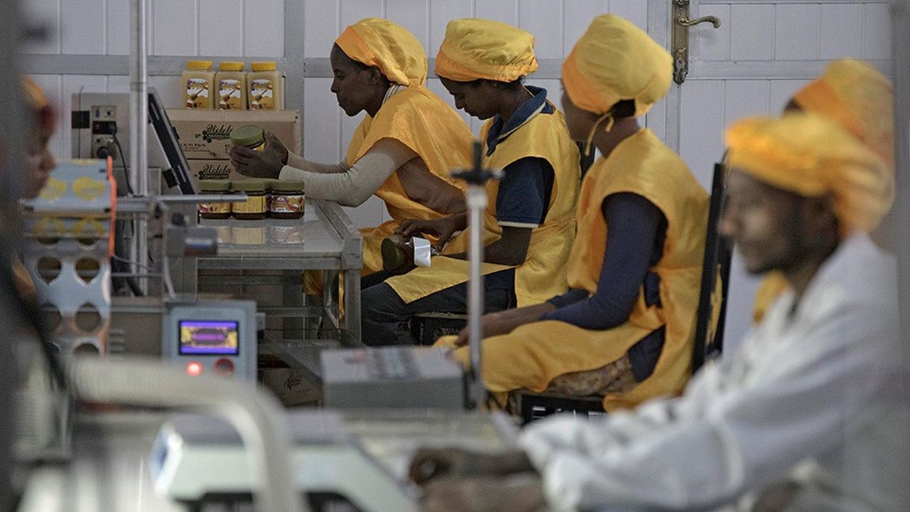 Des ouvrières de l'usine de Welele empaquettent du miel destiné aux marchés européens. Le pays produit le quart du miel du continent.