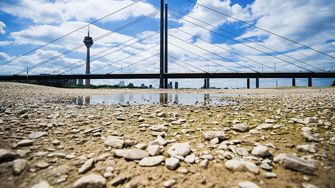 En Allemagne, 80 % des marchandises transportées par voie fluviale circulent sur le Rhin. La sécheresse a considérablement affecté l'activité du fleuve de juin à décembre derniers (ici, en juillet à Dusseldorf)