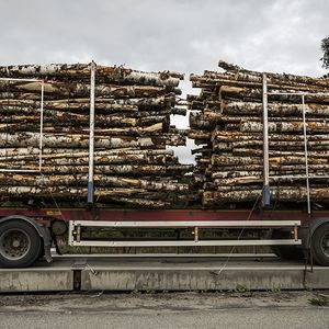 ISB sécurise une partie importante de ses approvisionnements en bois bruts qui vont désormais lui être fournis par son nouvel associé SCA, propriétaire de domaines forestiers en Suède