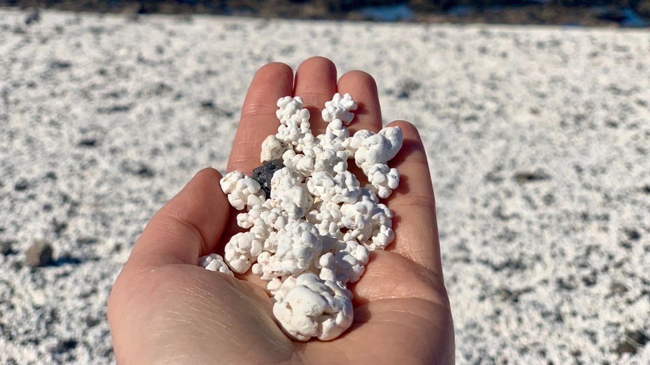Les algues calcaires semblables à du pop-corn qu'on trouve sur la plage d'El Hierro au nord de l'île de Fuerteventura sont devenues un phénomène de mode sur Instagram